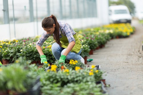Eco-friendly landscape design by Seven Sisters