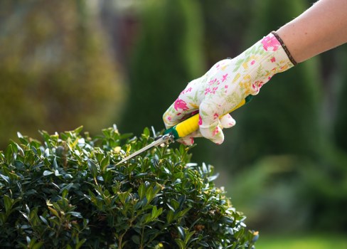 Professional tree lopping service in Seven Sisters