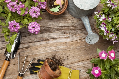 Illustration representing essential cookie management for a landscaping website