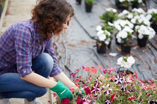 Healthy lawn care in Seven Sisters with neat green grass