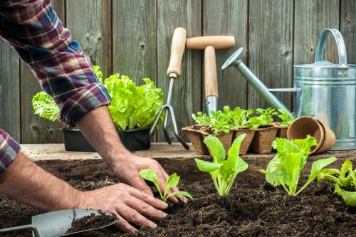 A person using bare hands to plant green lettuce seedlings into rich, dark soil in a garden bed, with gardening tools such as a hand trowel and watering can visible nearby on a weathered wooden surface. The background features a wooden fence and a small garden tray of more seedlings, indicating active outdoor gardening in a residential setting. The scene captures a peaceful, well-maintained garden space with freshly prepared soil and lush leafy greens, demonstrating early-stage planting or vegetable cultivation, typical of garden care services offered in the Seven Sisters area. Natural lighting suggests a clear day, enhancing the vibrant green of the lettuce and the textured appearance of the soil. The presence of simple gardening tools reflects a straightforward approach to outdoor planting and maintenance, which is a key aspect of professional garden care provided by Landscapers Seven Sisters.
