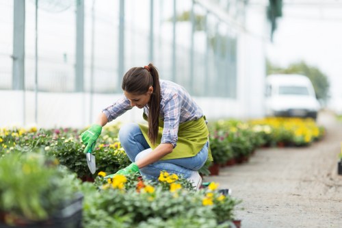 A woman wearing a plaid shirt, green apron, and green gardening gloves is kneeling on a gravel pathway in a greenhouse or nursery, tending to colorful flowering plants in small pots. The plants feature bright yellow and purple blooms, with lush green foliage surrounding them. Behind her, a long row of similar plants stretches along the garden bed, indicating an organized nursery or garden centre environment. The background reveals large glass panels allowing natural light to illuminate the space, with some trees visible through the greenhouse windows. The gravel surface she is working on is clean and well-maintained, with some additional potted plants visible in the foreground. The scene captures a peaceful, professional gardening scene, reflecting expertise in plant care and garden maintenance, with the setting likely within the South East or London area, consistent with Landscapers Seven Sisters' services.