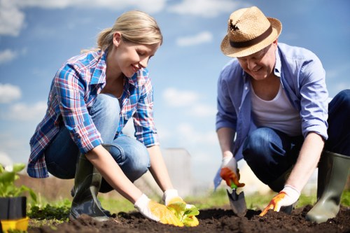 Professional lawn mowing service in Seven Sisters