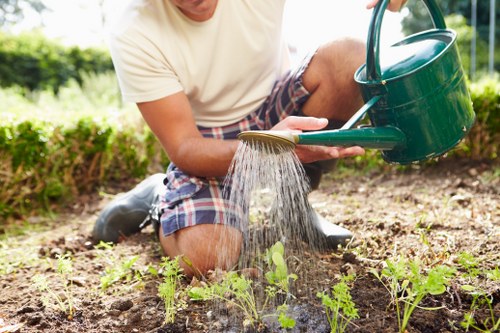 A person kneeling in a garden, watering young green seedlings with a green plastic watering can. The garden features a cultivated soil bed with small plants growing in neat rows, surrounded by a low hedge and lush greenery in the background. The scene is set outdoors on a bright, sunny day, with natural light illuminating the garden’s natural tones of soil, green foliage, and the person's casual clothing. This setting reflects typical gardening activities such as planting and watering, aligned with landscaping and outdoor maintenance services offered by companies like Landscapers Seven Sisters in the local area.