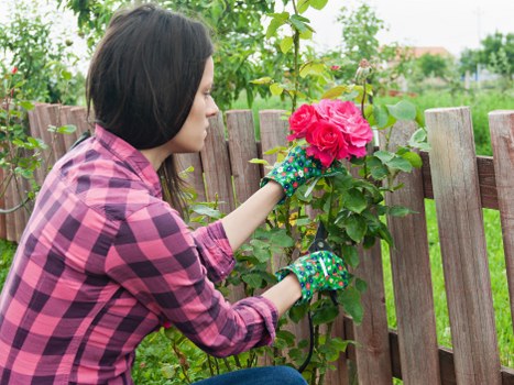 Eco-friendly landscaping practices at Landscapers Seven Sisters