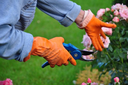 Garden workers pruning and trimming shrubs