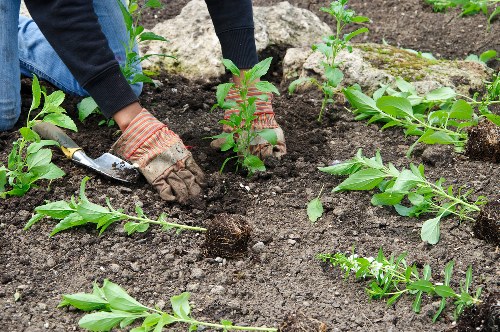 Charity reuse and recycling of landscaping items