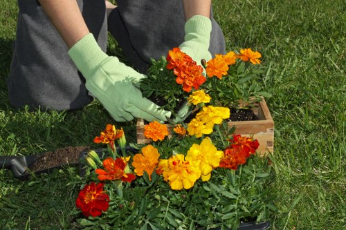 Benefits of professional lawn mowing