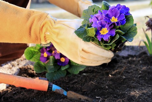 Sustainable landscaping practices in Seven Sisters