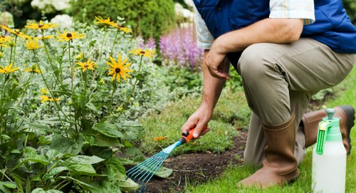 A person kneeling on a well-maintained grassy lawn in a garden, wearing beige waterproof boots and a dark blue vest over a light shirt. They are tending to a flower bed filled with various plants, including tall yellow flowers with dark centers and purple flowering plants in the background, creating a colorful and diverse garden scene. The garden features a neatly edged flower bed with rich, dark soil, bordered by a narrow strip of grass. To the right, a white garden sprayer is visible on the ground. The scene is set outdoors with natural daylight, and the background includes green foliage and trees, indicating a lush, landscaped outdoor space typical of residential gardens in the Seven Sisters area or nearby postcodes, supporting gardening and outdoor maintenance services offered by Landscapers Seven Sisters.