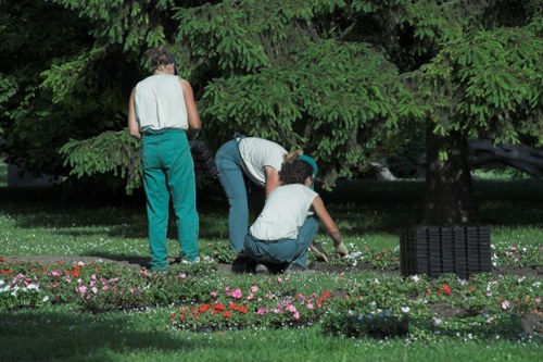 Safe and environmentally friendly tree services