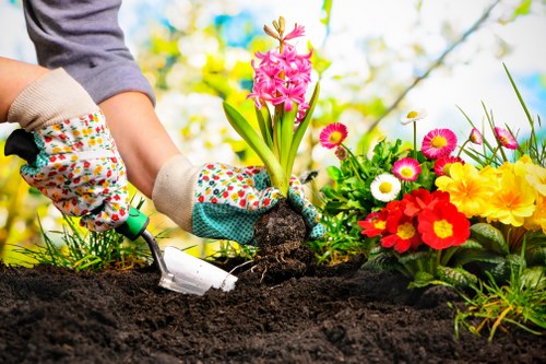 In the image, a person wearing colorful gardening gloves is planting a pink hyacinth bulb into dark, freshly turned soil in a well-maintained garden. To the right, there is a vibrant flower bed with a variety of blooming flowers, including red, yellow, white, and pink blossoms, creating a lively splash of colour against the green foliage. In the background, blurred trees and a blue sky suggest a clear, sunny day, ideal for outdoor gardening. The garden space is bordered by neat flower beds, with the edge of a wooden garden border visible. The scene depicts active gardening work, possibly part of lawn and garden care services by Landscapers Seven Sisters, emphasizing their expertise in nurturing garden growth and maintaining attractive outdoor environments for residents of London or nearby SE postcodes.