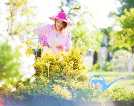 A woman in a pink hat and gardening gloves is tending to a neatly maintained garden bed filled with yellow flowering plants and green shrubs. She is using small gardening tools to prune or care for the plants, with a blue watering can positioned nearby on the grass. The garden features a lush, green lawn in the foreground, bordered by a variety of bushes and small trees. Bright sunlight illuminates the scene, casting soft shadows and highlighting the vibrant color contrasts between the flowers, foliage, and the woman's attire. In the background, tall trees with light foliage and a clear sky suggest a garden located in a suburban area, possibly within the vicinity of Seven Sisters in London, as inferred from the website context. The overall scene preserves a natural, orderly outdoor space that reflects professional gardening practices typical of local landscaping services like Landscapers Seven Sisters, focusing on garden maintenance and aesthetic enhancement in a residential environment.