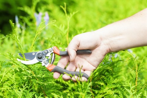 A close-up view of a person's hand using a pair of orange and grey garden pruning shears to trim a green shrub in a well-maintained outdoor garden. The garden features lush, dense foliage with a variety of plants and greenery, including a hedge or bush in the background. The soil beneath the plants appears healthy and moist. The scene is lit by natural daylight, suggesting a clear weather day, and the surrounding environment reflects typical outdoor landscaping elements relevant to gardening services in the Seven Sisters area, supporting sustainable gardening practices. The image emphasizes careful pruning and garden maintenance within a landscaped outdoor space.