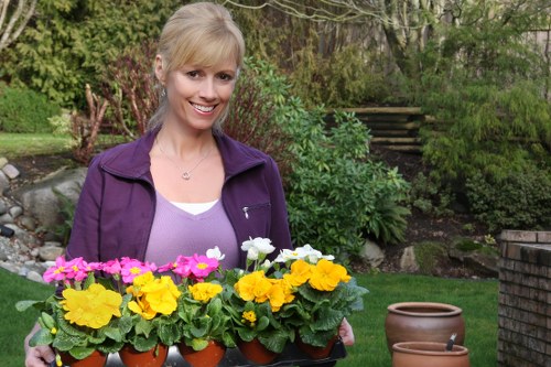 A woman with blonde hair and a friendly smile is standing in a lush garden, holding a tray of potted flowering plants with bright yellow, pink, and white blossoms. The garden features a well-maintained lawn with green grass in the foreground, bordered by various shrubs and small trees, creating a natural backdrop. Behind her, a stone pathway leads up a gently sloping landscaped area with steps made of wood or stone, flanked by leafy bushes and mature trees. To her right, there is a small terracotta pot placed on the grass, and the overall scene suggests a peaceful outdoor space suitable for gardening activities in the Seven Sisters area. The weather appears mild and sunny, highlighting the vibrant colours of the plants and the healthy condition of the greenery, reflecting professional gardening care from Landscapers Seven Sisters. This image exemplifies elements such as lawn management, planting, and garden tidiness, aligning naturally with gardening and outdoor maintenance services offered locally in London’s Tottenham or surrounding areas.