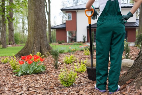 Seasonal garden maintenance activities in Seven Sisters