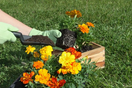 A gardener's hands, wearing light green gloves, are planting a flowering plant into a wooden garden bed filled with dark soil, located in a grassy outdoor area. The flower inside the bed has bright orange and yellow blooms, adding vibrant colour to the scene. Surrounding the main planting activity, the green lawn shows a dense, healthy grass surface with a natural texture, typical of a well-maintained garden in the UK. In the background, there are additional garden elements including other flowering plants and a lush green hedge or shrubs, indicating a thoughtfully landscaped outdoor space. This image exemplifies ongoing gardening work, such as planting flowers in a home or community garden, aligning with landscaping and outdoor maintenance services offered by companies like Landscapers Seven Sisters near the postcode referenced in the website. The scene is lit with natural daylight, showcasing the fresh, vibrant colours and textures of the plants, soil, and grass, highlighting the importance of careful outdoor garden management and plant care.