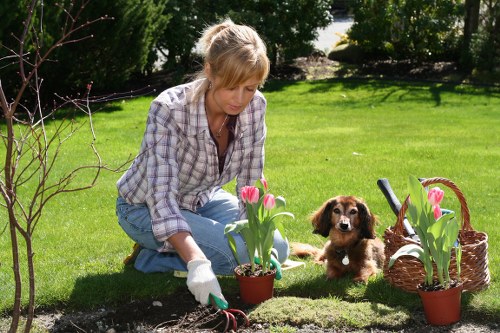 Soil preparation and fertilization process