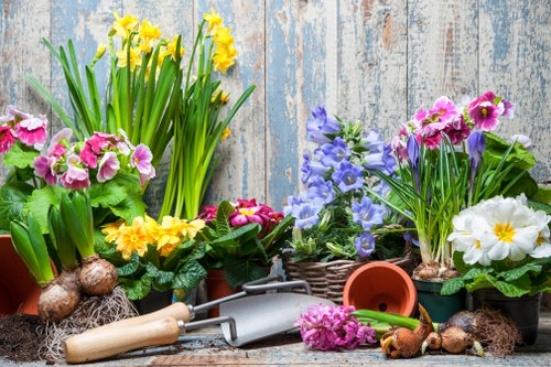 Deck maintenance and repair services
